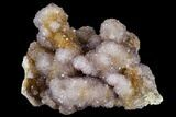 Cactus Quartz (Amethyst) Cluster - South Africa #115127-1